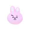 Cooky Plush ,BT21 Official Merchandise, Cooky  Soft Toy, “14×14 inch best BT21