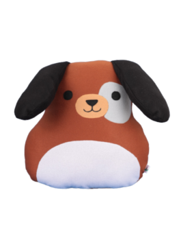 Huggable Cute little puppy with beautiful Grey eyes for Boy or girl “14×14” inchs size