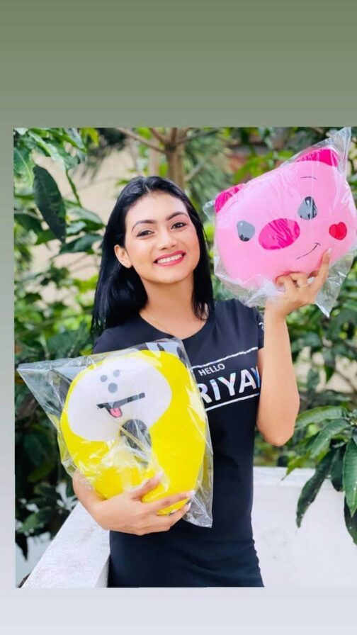 Piggy Plushie - Image 3