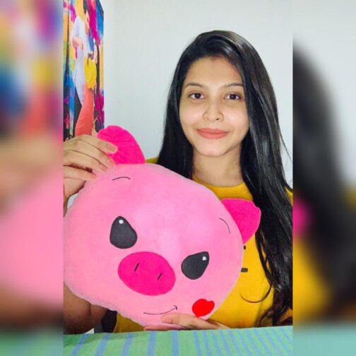 Piggy Plushie - Image 2