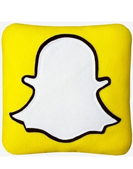 Snapchat Pillow