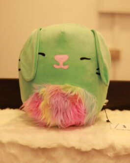 Squishmallows Cat Rainbow Body Cat
