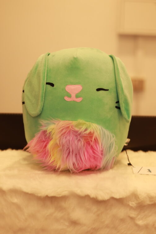 Squishmallows Cat Rainbow Body Cat