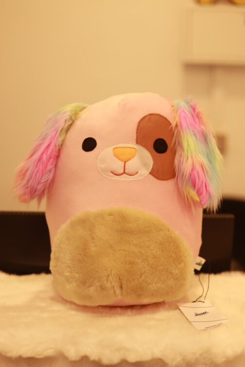 Squishmallows Rainbow Ears Dog