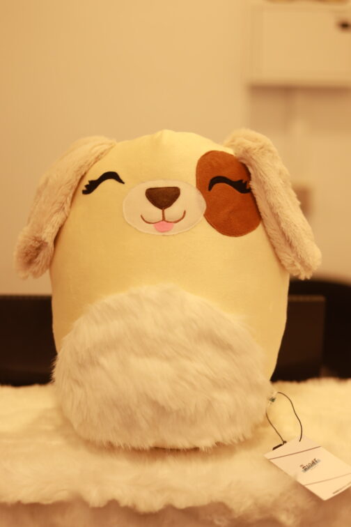 Squishmallows Cream Ears Dog