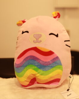 Squishmallows Rainbow Cat