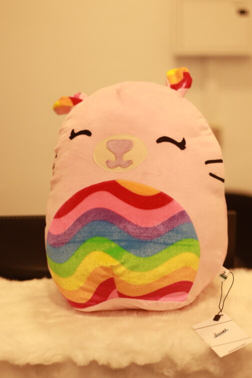 Squishmallows Rainbow Cat