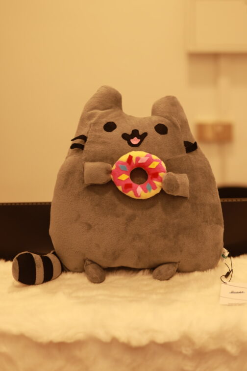 Squishmallows Pusheen / donut