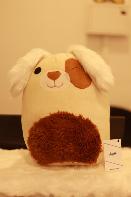 Squishmallows Creem White Ears Dog