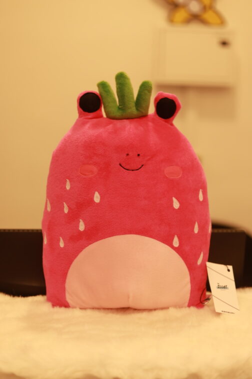 Squishmallows Pink Frog