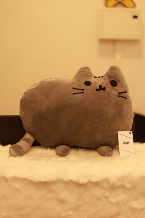 Squishmallows Pusheen Grey