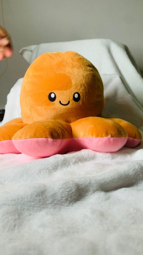 Double Sided Reversible Octopus Soft Doll Reversible Plush Mood Octopus - Image 2